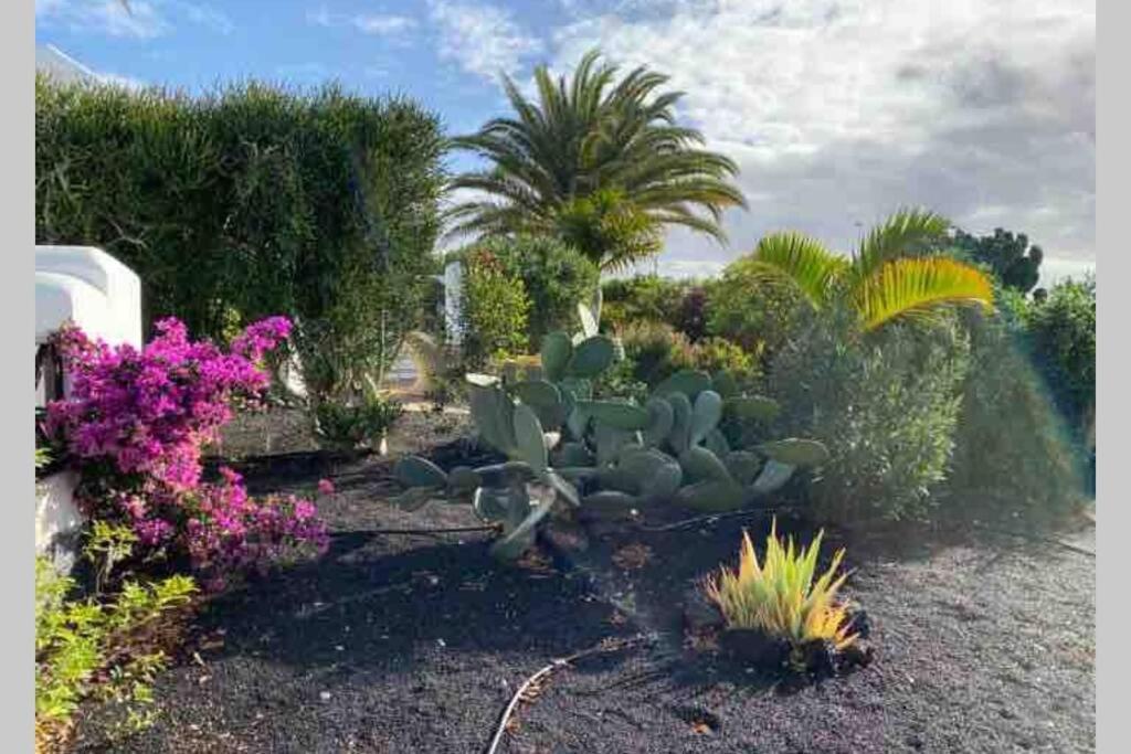 Villa Isa Sea Views Playa Blanca  Exterior photo
