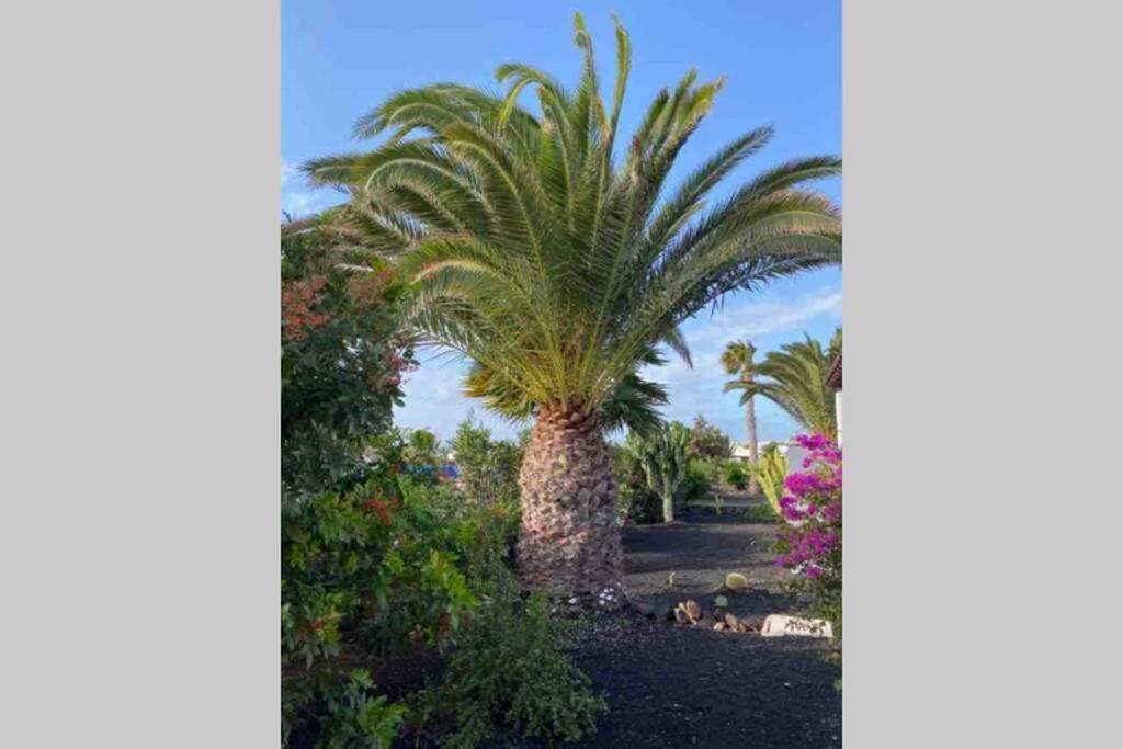 Villa Isa Sea Views Playa Blanca  Exterior photo
